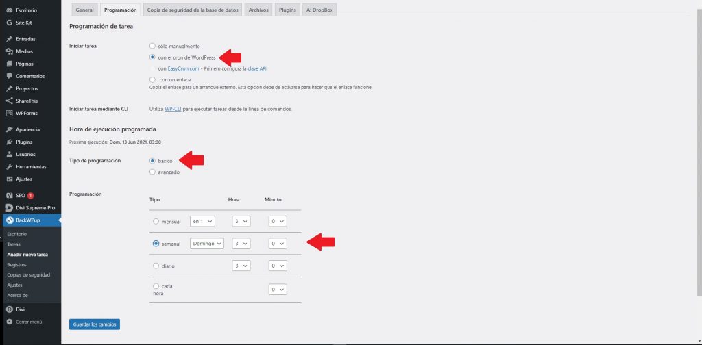 Programar tarea en BackWPup